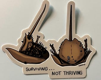 Horseshoe crab sticker