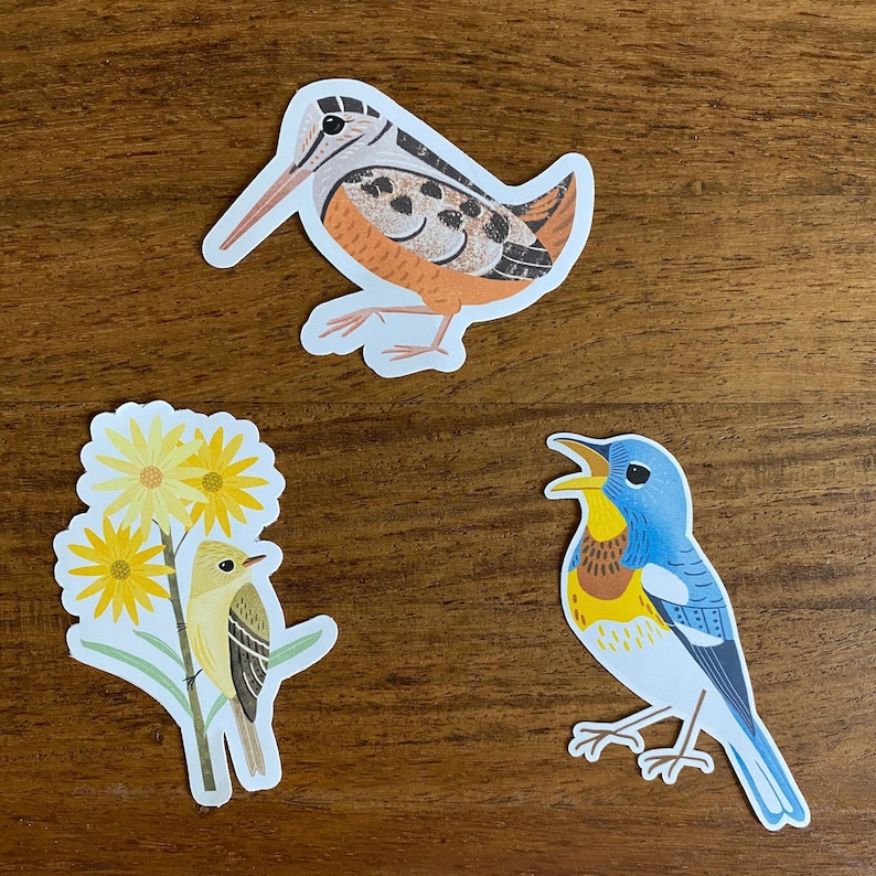 Illustrated Birbs | Die Cut Waterproof Sticker - Etsy