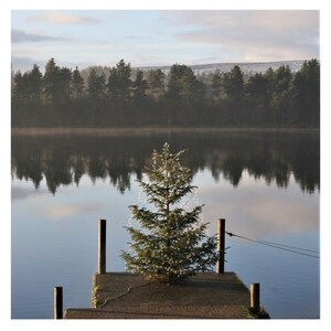 4 'The Pier' Weihnachts-/Sonnenwendekarten, Fotodruck, Ökotinte, 100% recycelte Karte, Lichterkette, Kiefer, Natur, Schnee, Schottland
