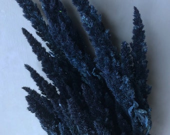 Dried & Floral Deep Blue Amaranthus, Dried Blue Flowers