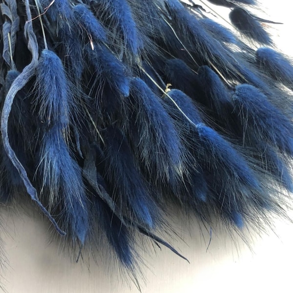 Dried & Floral Navy Blue Lagurus, Dried Blue Bunny Tails
