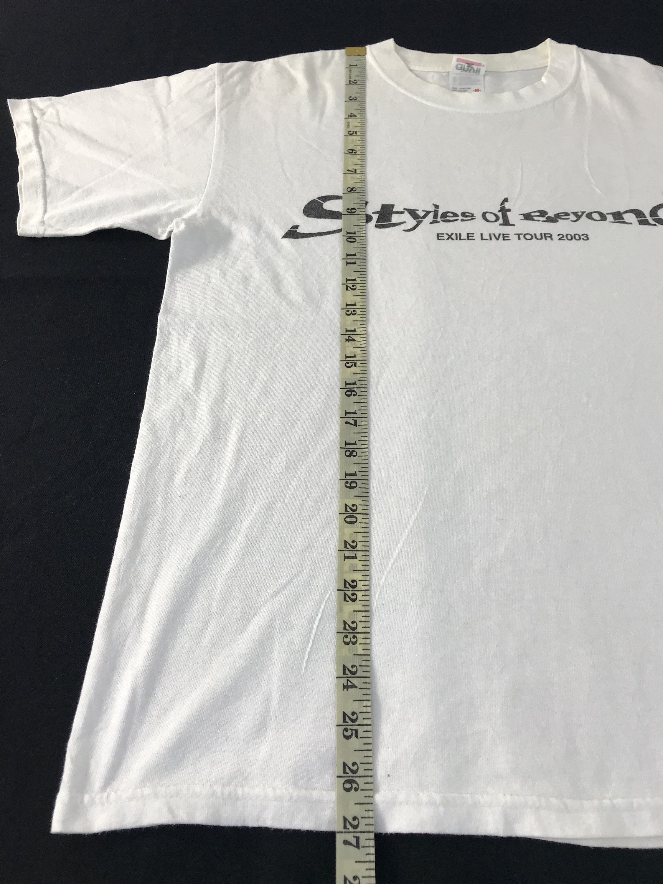Vintage Style Exile Tribe Style of Beyond Live Tour 2003 Printed