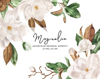 Download Magnolia Watercolor Etsy
