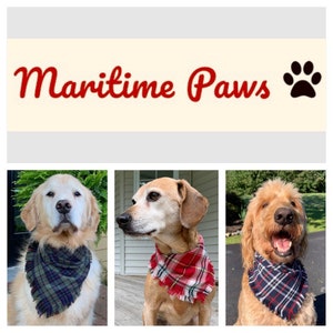 May include: Three dogs wearing different plaid bandanas. The dogs are a golden retriever, a tan and white mixed breed, and a brown and white doodle. The bandanas are all different colors and patterns. The text "Maritime Paws" is in red letters above the dogs.