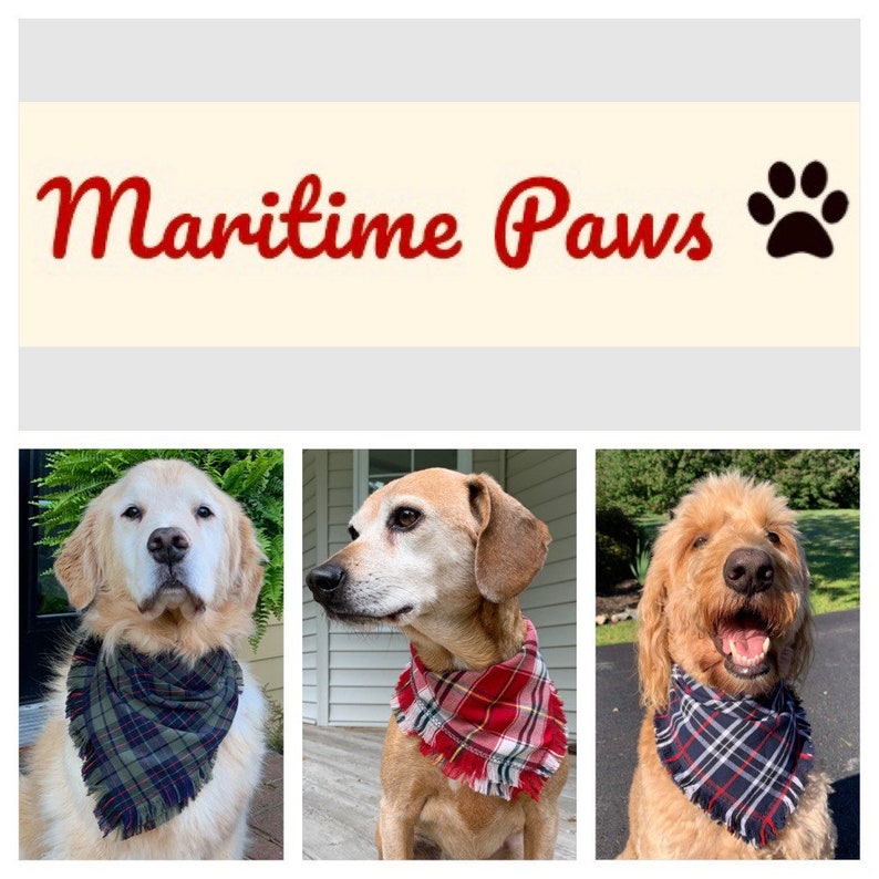 May include: Three dogs wearing different plaid bandanas. The dogs are a golden retriever, a tan and white mixed breed, and a brown and white doodle. The bandanas are all different colors and patterns. The text "Maritime Paws" is in red letters above the dogs.