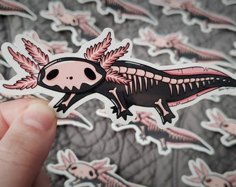 Tiny Mudpuppy Miniature BLANK