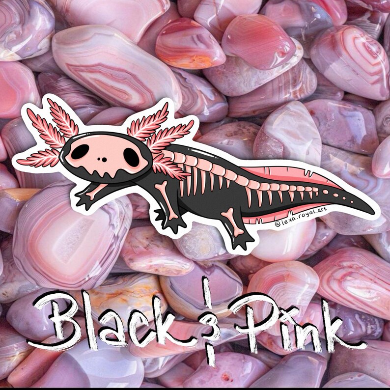 May include: A black and pink axolotl with a skeleton design on a background of pink and white stones. The text "Black & Pink" is written below the axolotl.