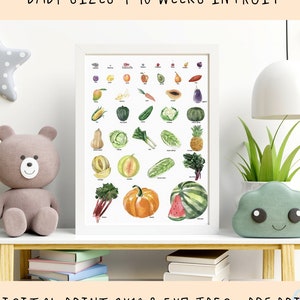 Babygroei grafiek print - baby maten in fruit print - foetale groei grafiek - zwangerschap per week - baby maten fruit - kwekerij kunst afdrukbaar