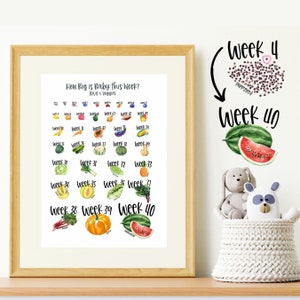 Baby Wachstum nach Woche Poster - Baby Größen nach Woche Obst Druck - Fötus Entwicklung Poster - Baby Wachstum Poster - jede Woche Schwangerschaft Print Art