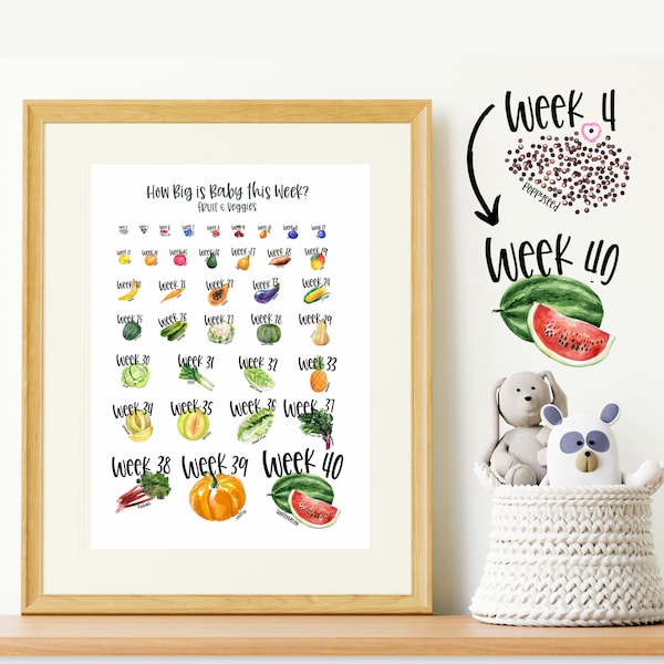 Baby Growth by Week Poster - Baby Sizes by Week Fruit Print - Fetus Development Poster - Baby Growth Poster - Each Week Pregnancy Print Art