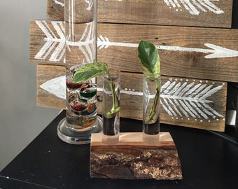 2(A) Tube Unique Live Edge Plant Propagation Station with 2 Glass Tubes - Option 2A