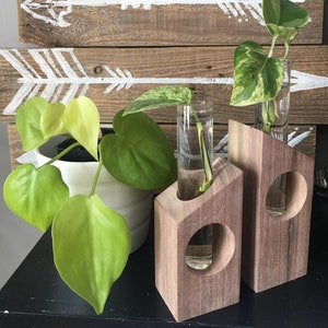 Op de afbeelding: Twee houten plantenhouders met ronde openingen, elk met een glazen reageerbuis met een groene plant erin. De plantenhouders zijn bruin en hebben een geometrische vorm. De planten zijn lichtgroen.
