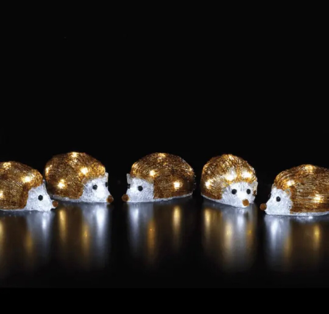 Set of 5 Hedgehog Lights Etsy UK