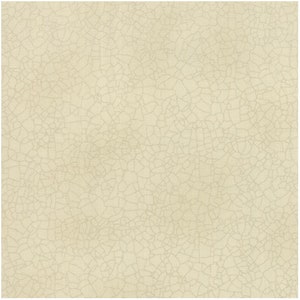 May include: A square, off-white surface with a network of fine, irregular cracks. The cracks are a lighter shade of off-white, creating a subtle, textured pattern across the entire surface. The overall effect is reminiscent of aged or weathered material.