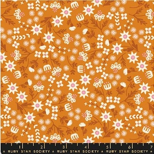 Favorite Flowers: Inflorescence in Tumeric Favorite Flowers: Inflorescence in Tumeric