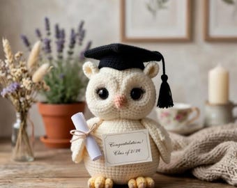 Crochet Graduation Owl Plush, Class of 2026 Grad Gift, Handmade Amigurumi Owl, Graduation Keepsake, Doctor or Professor Owl R-26032605