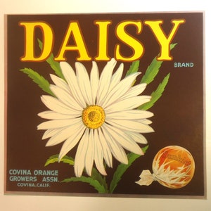 Vintage ORIGINAL Crate Label Daisy Brand Sunkist Oranges Covina