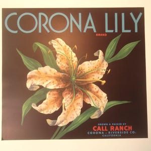 Vintage ORIGINAL Crate Label Corona Lily Brand Call Ranch Corona Riverside