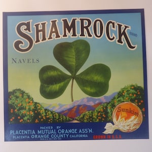Lot of 10 Vintage ORIGINAL Crate Labels Shamrock Brand Sunkist Oranges Lot 37