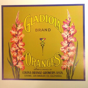 Vintage ORIGINAL Crate Label Gladiola Brand Oranges Covina
