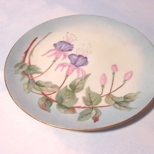 Beautiful Unmarked Hand Painted Floral Design Salad Plate Porcelain German?