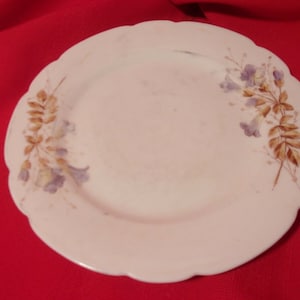 May include: A white plate with a scalloped edge, decorated with floral patterns. The design includes purple flowers and brown leaves. The plate is set against a red background.