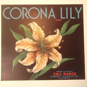 Vintage ORIGINAL Crate Label Corona Lily Brand Call Ranch Corona Riverside