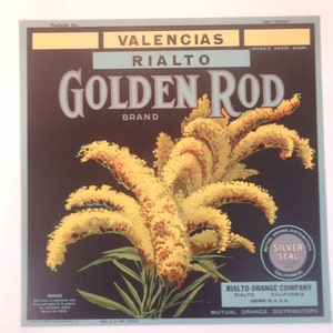 Vintage ORIGINAL Crate Label Golden Rod Brand Valencia Oranges Rarer RIALTO