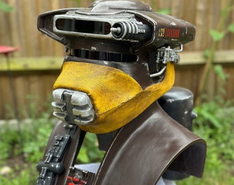 Boushh Cosplay or Display