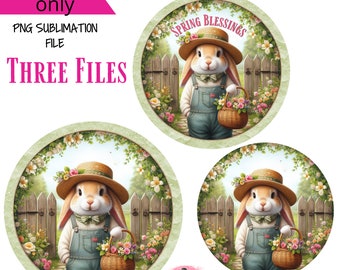 Spring Blessings Bunny and Spring Garden  Digital Sublimation Wreath Sign Design PNG Download ONLY Decor