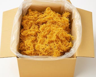 Zeemos Oceaan geoogst Wildgemaakt | Groothandel gouden zeemos | GGO-vrij | Getest door derden | Biologische zeemos