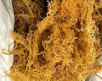 5lb-10 lbs  Wildcrafted Wholesale Sea Moss From Jamaica (Gold)