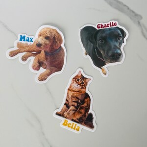 Custom Pet Sticker // Custom Pet Portrait // Pet Gifts // Personalized Pet Decal // Custom Dog Sticker // Custom Cat Sticker