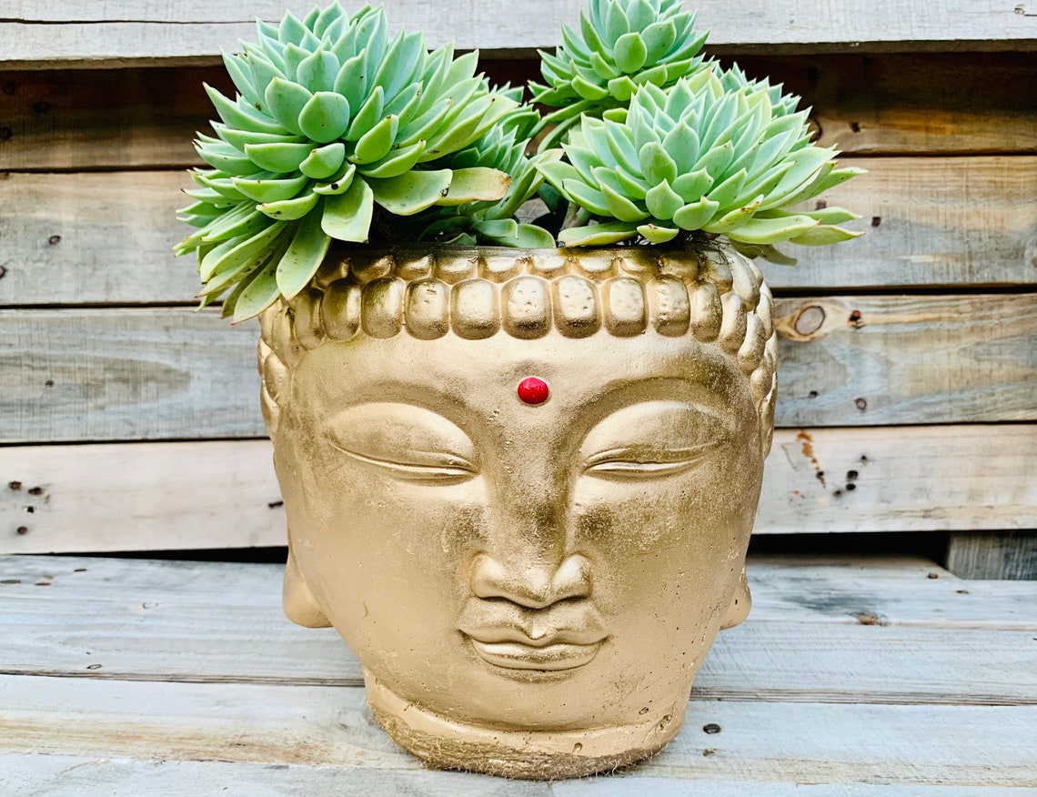 Golden Buddha planter / Buddha plant pot / golden Buddha Etsy