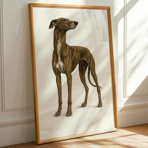 Brindle Greyhound Poster Elegant Whippet Drawing Print Galgo Wall Decor Sighthound Print Art Instant Download Wall Art Dog Trendy Decor