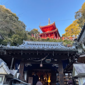 Op de afbeelding: Een rode pagode-stijl tempel met een zwart betegeld dak, gezien vanaf beneden. De tempel ligt op een heuvel en is omgeven door bomen. De tempel is een populaire toeristische bestemming in Japan.