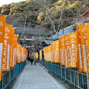 Op de afbeelding: Een lange gang met aan weerszijden oranje vlaggen met Japanse tekst en een tijgersymbool. De vlaggen hangen aan een blauw metalen hek. De gang leidt naar de ingang van een tempel.
