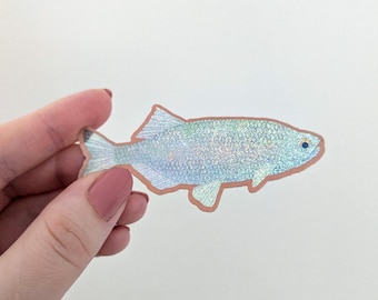 Fish Vinyl Sticker | Silly Glittery Fish Sticker