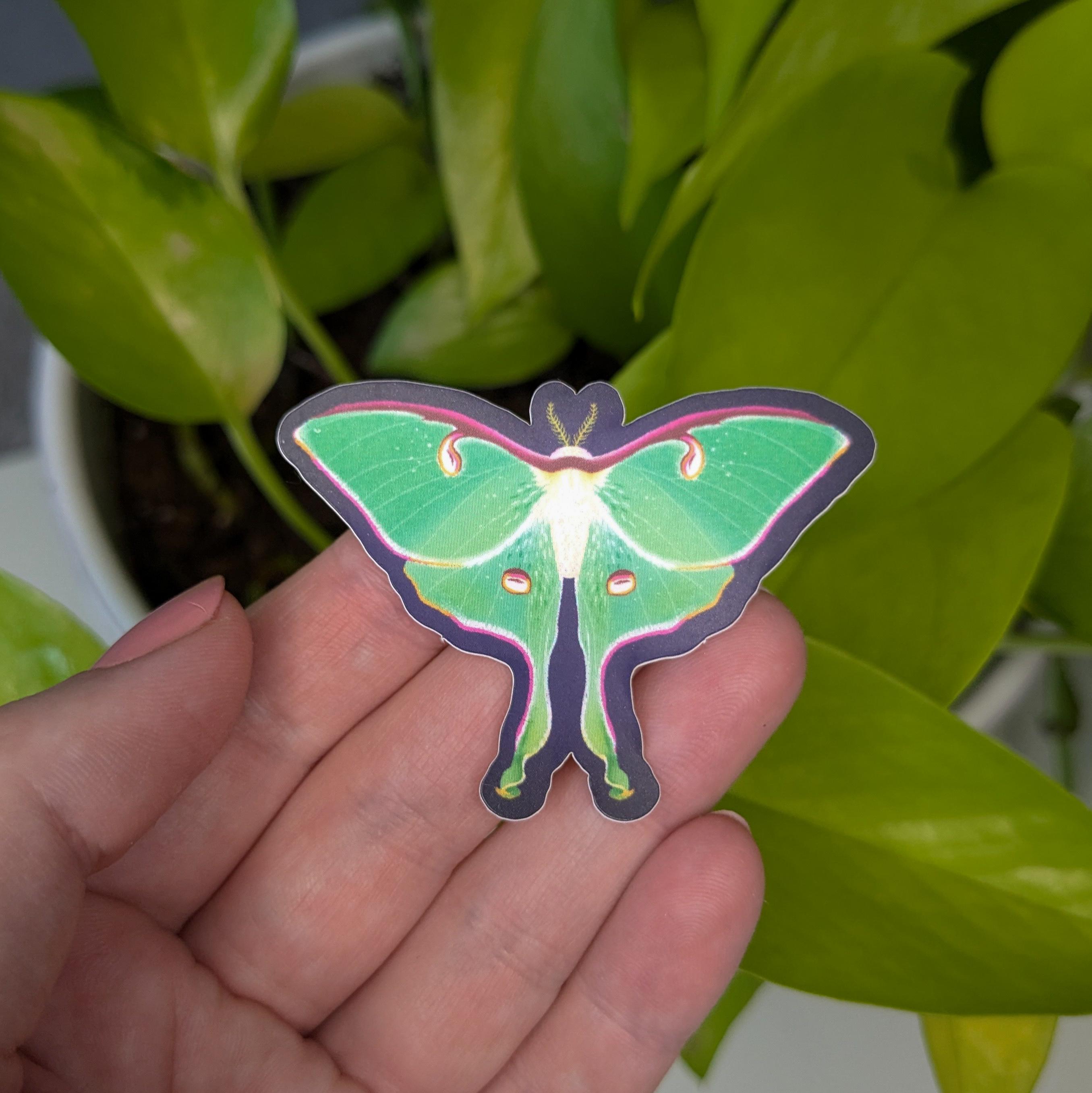 Whimsical Luna Moth Sticker | Luna Moth Vinyl Sticker | Colorful Bug ...