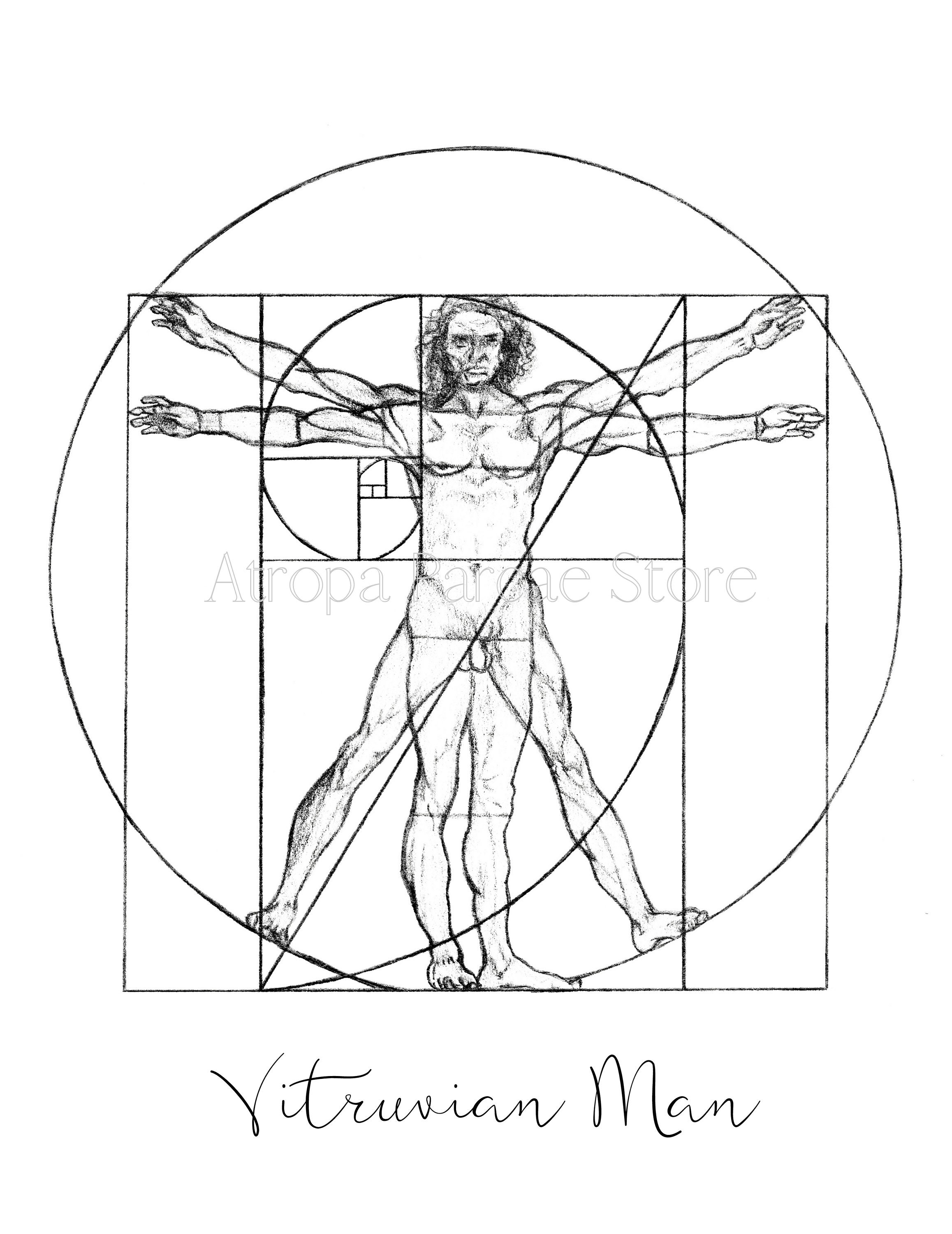 Vitruvian Man Leonardo Da Vinci Print Golden Ratio L uomo Vitruviano 