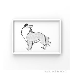 Ritratto di Collie, Stampa della Carica dei 101, Disegno della Carica dei 101, Illustrazione di un cane Walt Disney, Poster vintage per animali domestici, Schizzo