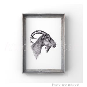 Impresión de cabra, ilustración de bruja, retrato de animal, dibujo, póster de mascota, arte de pared, bestiario familiar de bruja
