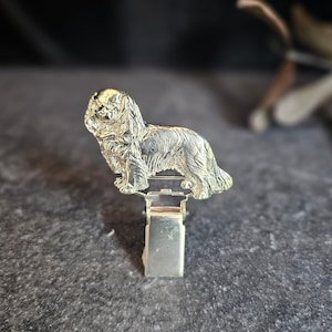 Portanúmeros CAVALIER KING Charles - broche o anillo de exhibición canina CLIP - Clip de exhibición de peltre bañado en oro para amantes de los perros y entusiastas de las exhibiciones caninas