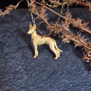 Ibizan Hound necklace, Pendant Ibizan Hound, Ibizan Hound art Dog, dog necklace, dog jewelry, custom jewerly necklace Ibizan Hound