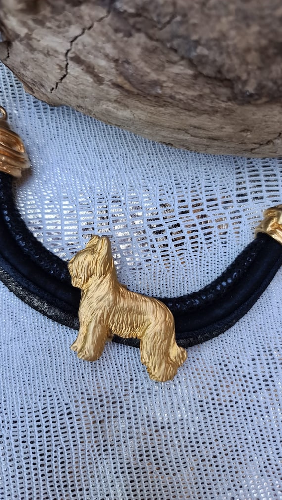 Briard chien Chocker, Chocker chien pédant, Noir et or chocker