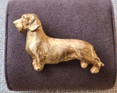 Dachshund wire haired Brooch Dog, Dog jewelry, Dachshund brooch, Dachshund art