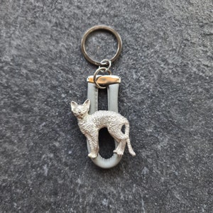 Devon Rex Katze 24k Gelbgold plattiert Brosche, Devon Rex Kette, Devon Rex Keychain, Geschenk für Katzenliebhaber
