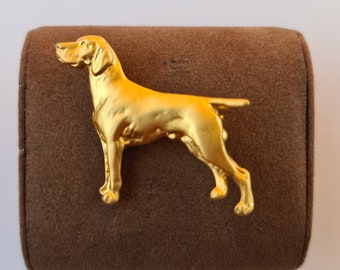 Un Puntero Alemán De Pelo Corto Sobre Un Fondo Blanco. | Foto Premium - Foto 6