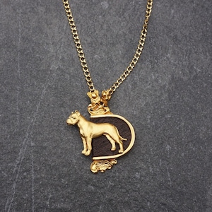 Argentijnse Dogo ketting, Argentijnse Dogo hond, Hond sieraden, Argentijnse Dogo hanger, hond ketting, aangepaste jewerly ketting