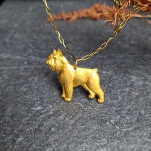 Élégant pendentif bouvier des Flandres - Bijoux pour chien finement détaillés